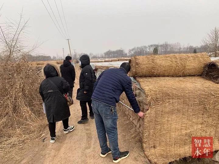 永年蔬菜今天最新价格——市场走势与种植户策略分析